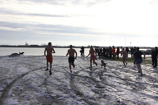  - nieuwjaarsduik wraf 037